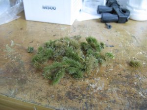 IMG_5761.JPG