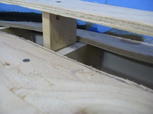 IMG_5786.JPG