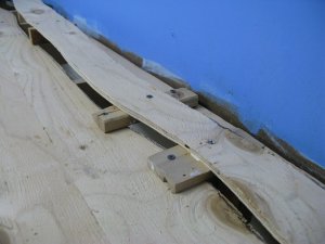 IMG_5785.JPG
