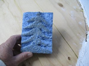 IMG_5799.JPG