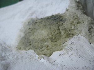 IMG_5808.JPG