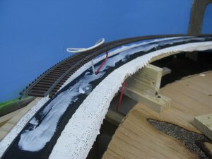 IMG_5809.JPG