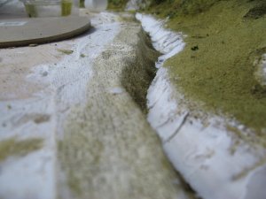 IMG_5897.JPG