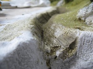 IMG_5901.JPG