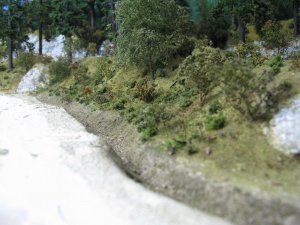IMG_5907.JPG