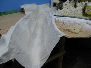 IMG_5974.JPG