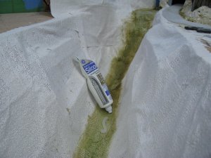 IMG_5976.JPG