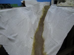 IMG_5977.JPG