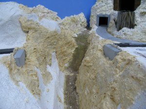 IMG_5979.JPG