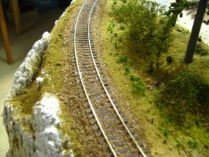 IMG_6513.JPG IMG_6513.JPG