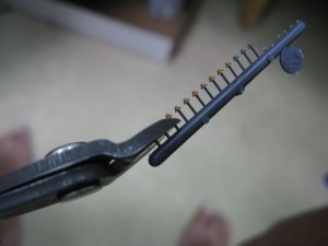 IMG_6577.jpg