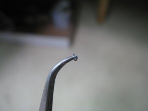 IMG_6579.jpg