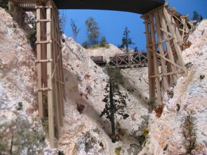 IMG_6596.jpg
