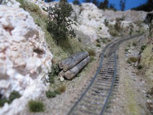 IMG_6693.jpg