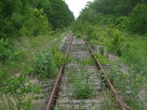 overgrown_railroad_track_by_3trosso.jpg