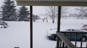 20180218_091229.jpg