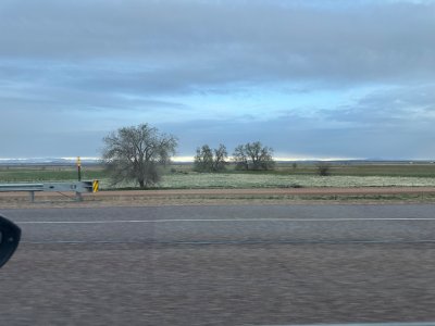 IMG_7528.jpeg