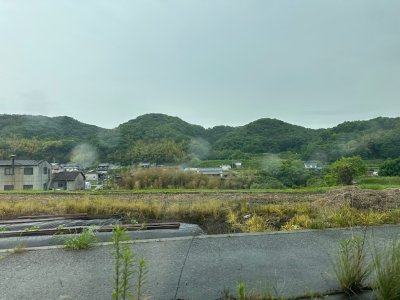 IMG_8064.jpeg