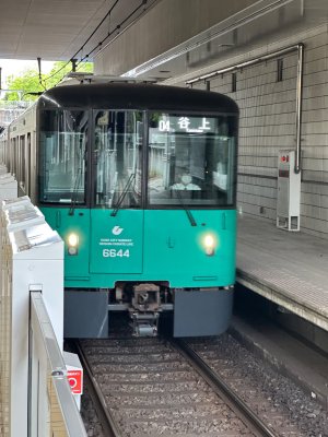 IMG_8100.jpeg