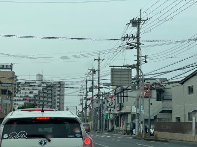 IMG_8073.jpeg