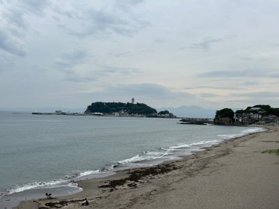 IMG_8211.jpeg
