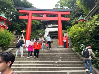 IMG_8395.jpeg