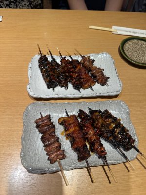 IMG_8493.jpeg IMG_8493.jpeg