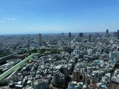 IMG_8543.jpeg