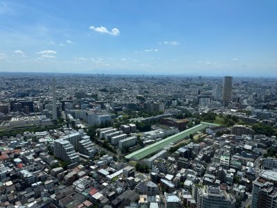 IMG_8542.jpeg