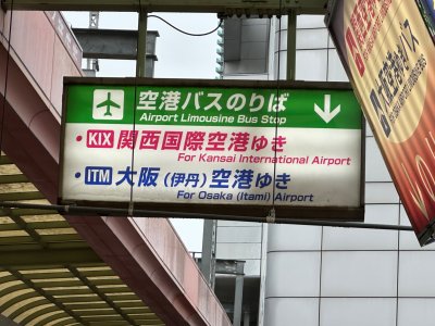 IMG_9527.jpeg