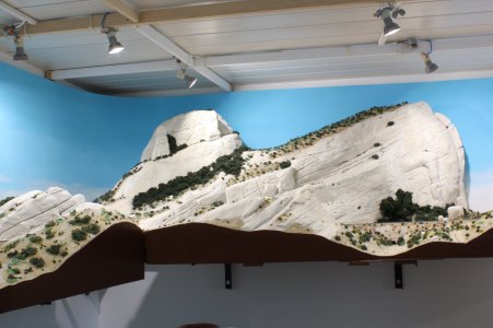 IMG (354).JPG