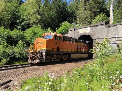 IMG_20250717_160802295_HDR.jpg