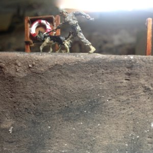 IMG_0619.jpeg
