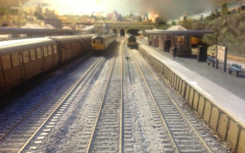 IMG_1334.jpeg