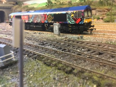 IMG_2503.jpeg