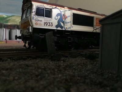 IMG_2596.jpeg