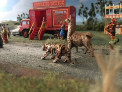 IMG_7097.jpeg