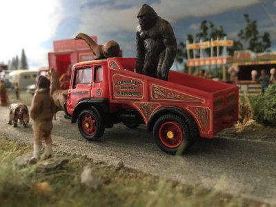 IMG_7096.jpeg