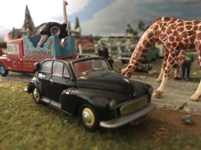 IMG_7095.jpeg