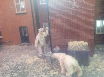 IMG_9246.jpeg