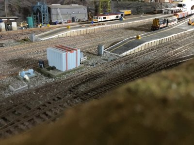 IMG_7036.jpeg