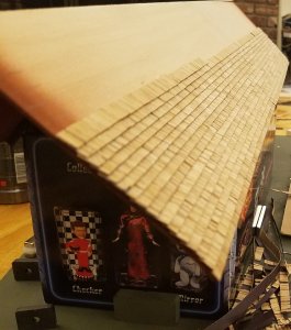 Shingle roof 3 resized.jpg