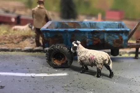 IMG_2814.jpeg