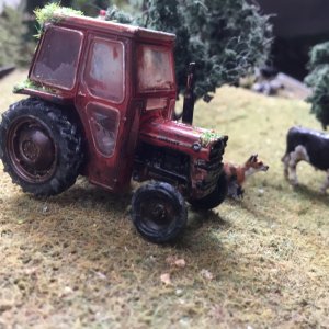 IMG_2086.jpeg