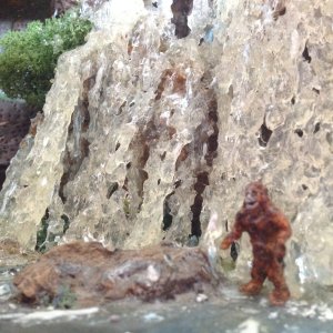IMG_4727.jpeg