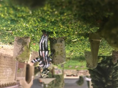 IMG_7676.jpeg