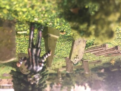 IMG_7669.jpeg