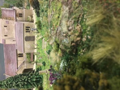 IMG_7680.jpeg
