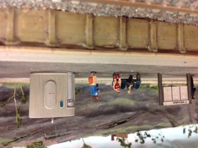 IMG_3684.jpeg