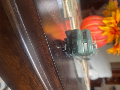 IMG_0206.jpeg